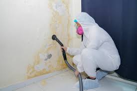  Newcomerstown, OH Mold Removal Pros